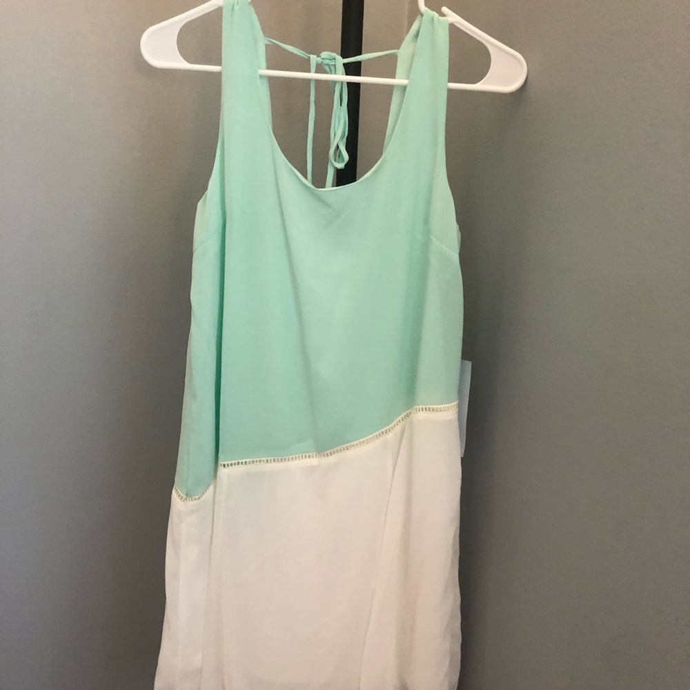 NWT - Mint and White tank top dress